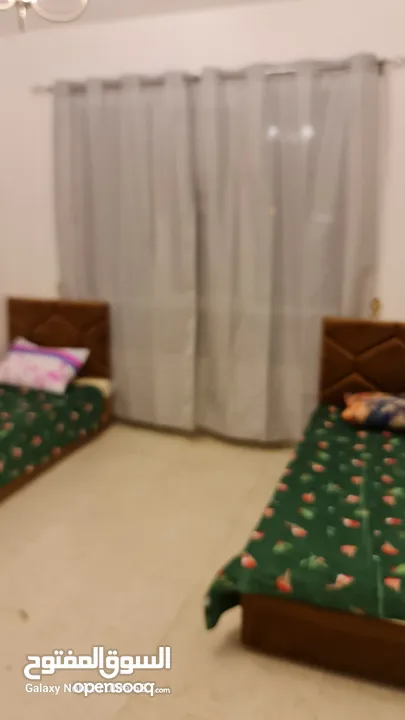 سرير في سكن مشترك للاجار