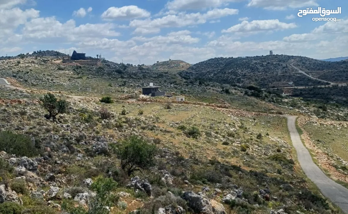 امتلك دونم أرض في فرخة – سلفيت بإطلالة غربية جنوبية خلابة وطابو فلسطيني - A