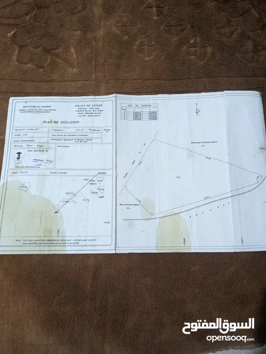 أرض للبيع ب واد عليان  Terrain terrain à vendre à Ouad Alian  Land for sale  in oued alian