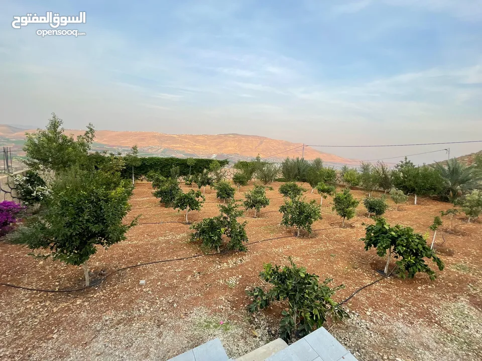 ارض للبيع في النصارية