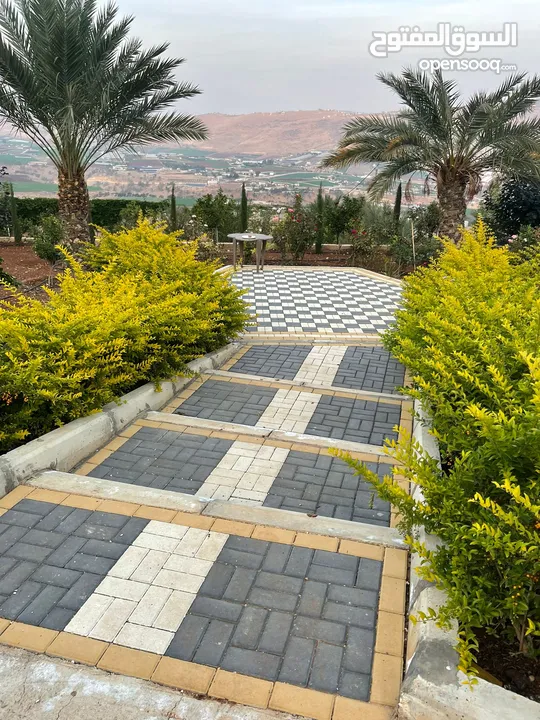 ارض للبيع في النصارية