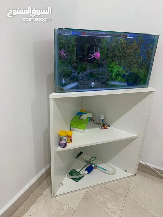Triangle Aquarium Set with Storage stand