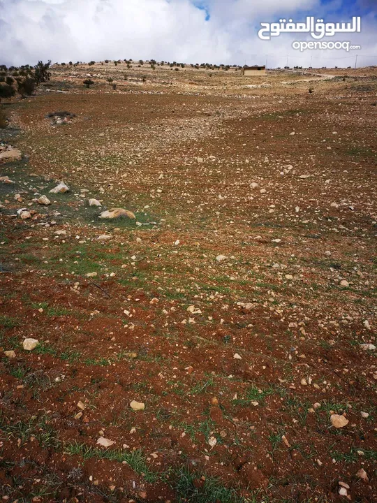 ارض للبيع تل الرمان شمال عمان