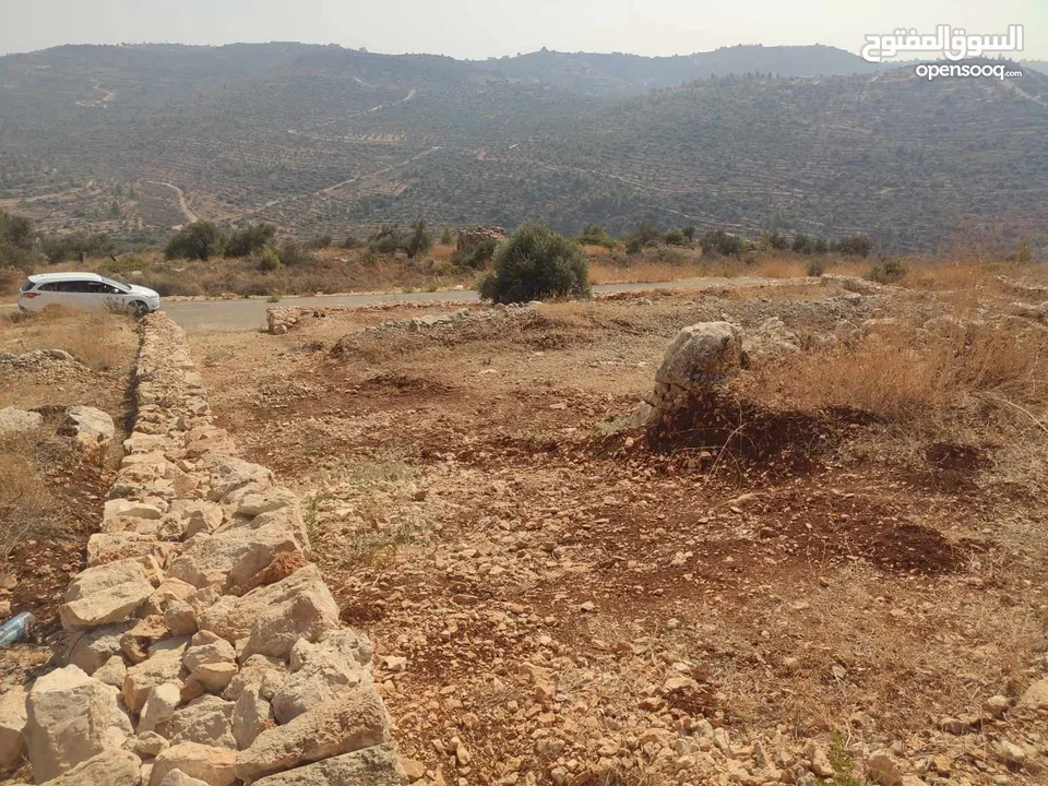 قطعة أرض للبيع في مزارع النوباني تصنيف أ