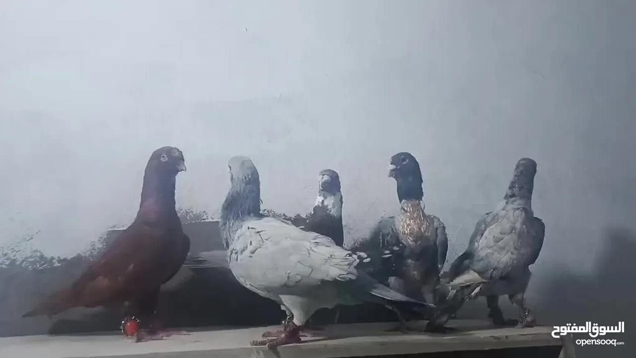 حمام بسعررر حررق