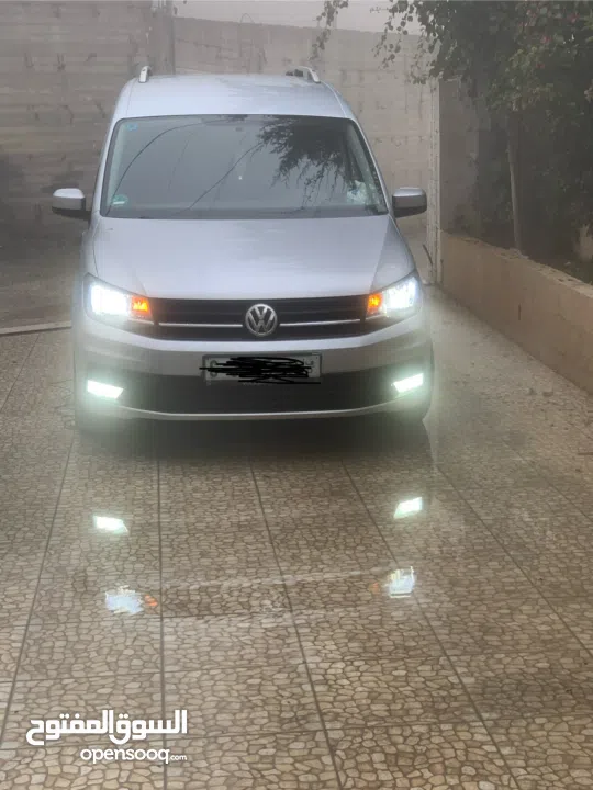 كادي 2016 الخليل