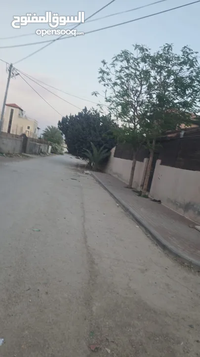 أحمد أبو مطاوع