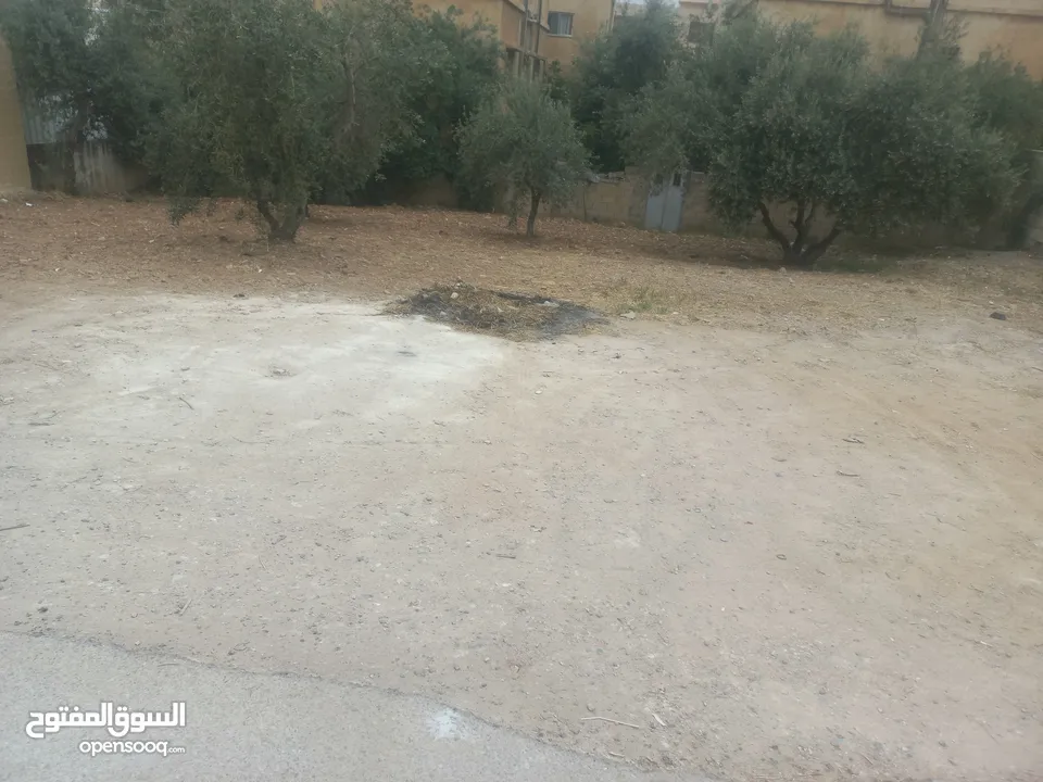 قطعت ارض 220