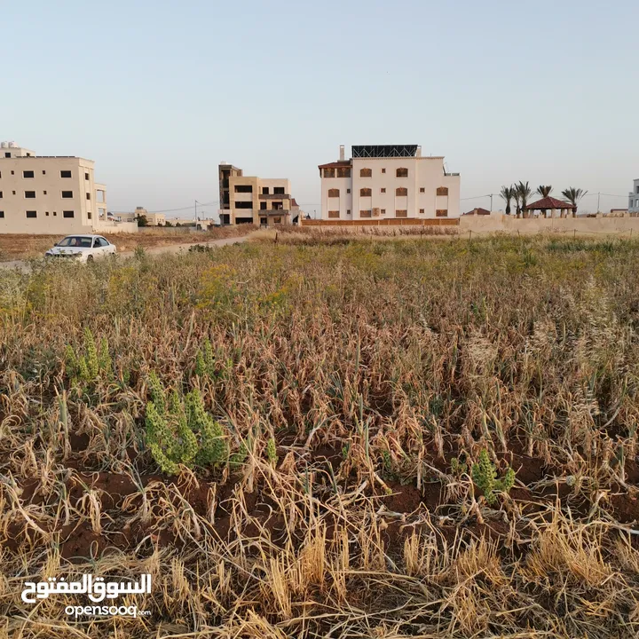 أرض مميزة للبيع -بالقرب من مدارس ساغو - اربد