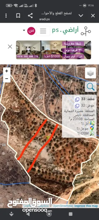 اطلاله حلوه