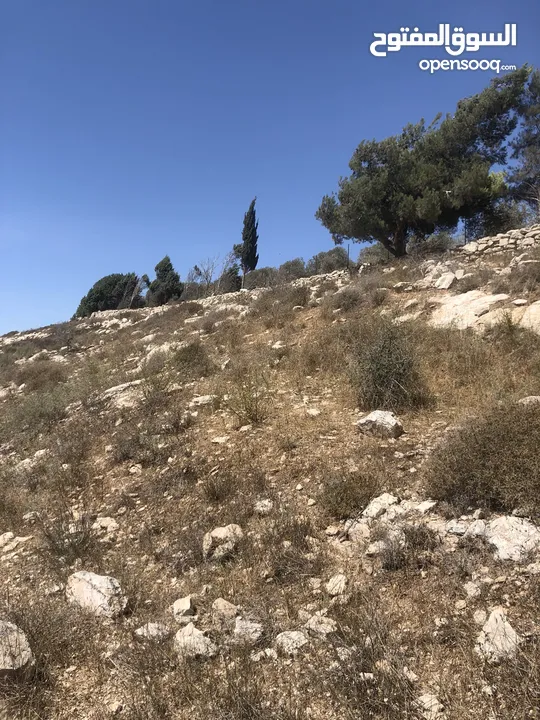 ارض للبيع في بيت امرين