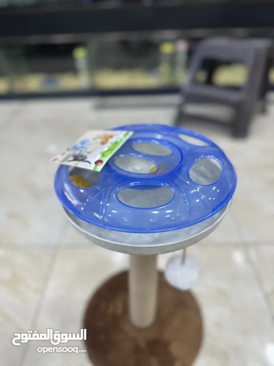 العاب قطط مع خداشة