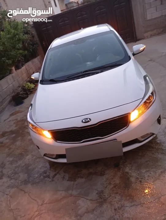 طمون انس عوده