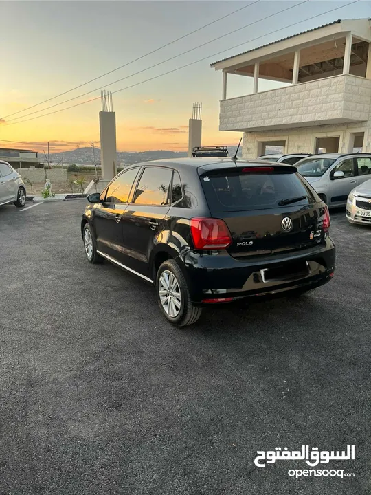 بولو تحفة و فحص