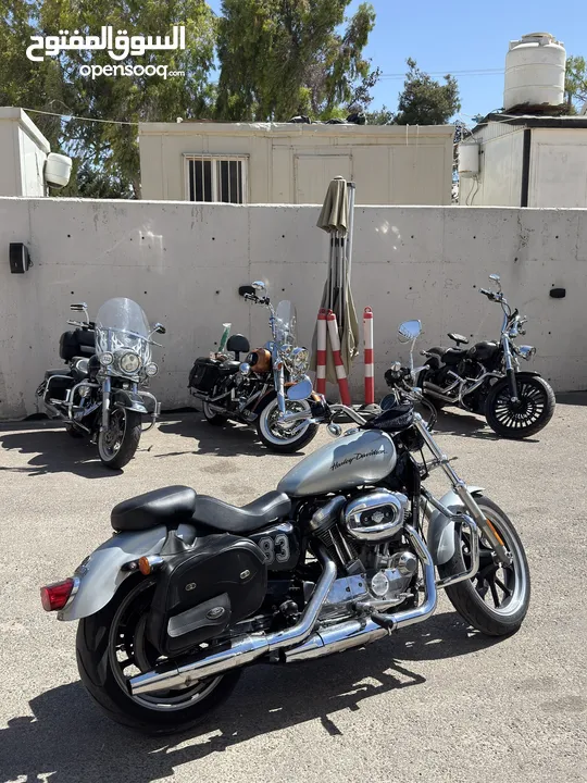 Harley sportster XL883 L بحالة الوكاله وصيانة الشركه