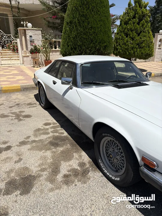 Jaguar xjs v12 1989 جاكوار