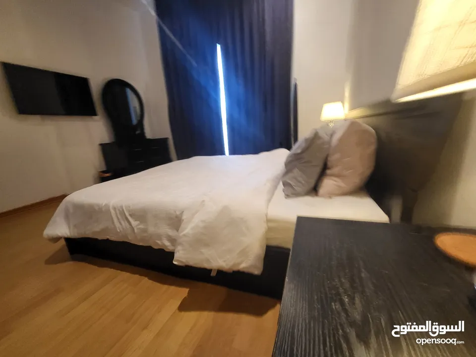 LUXURY FULLY FURNISHED APARTMENT FOR RENT!