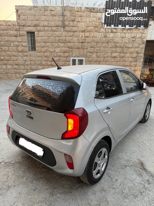سعرررررر حررررررق بيكانتو 2020 ايد1 ولا ضربة بلاطات سمكات فخذات سعررررررر حررررررررق