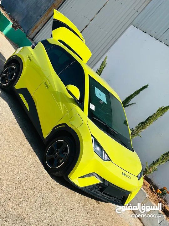 BYD للبيع سيجيل