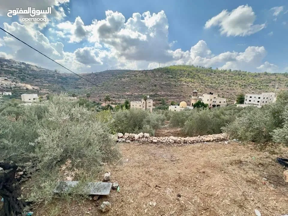 ارض للبيع في بيت لحم بلدة بتير