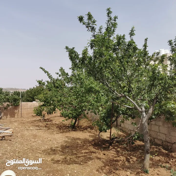 قطعة أرض للبيع