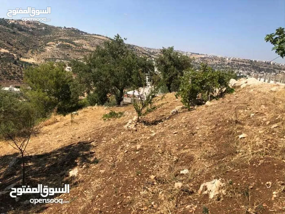 قطعه ارض للبيع