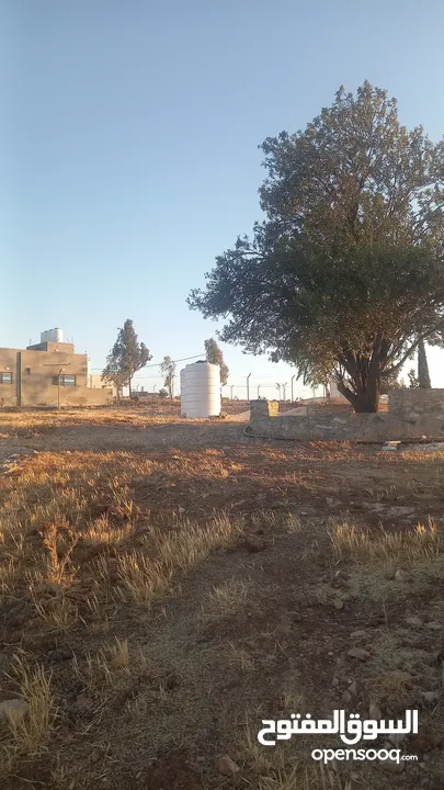 أرض داخل التنظيم للبيع
