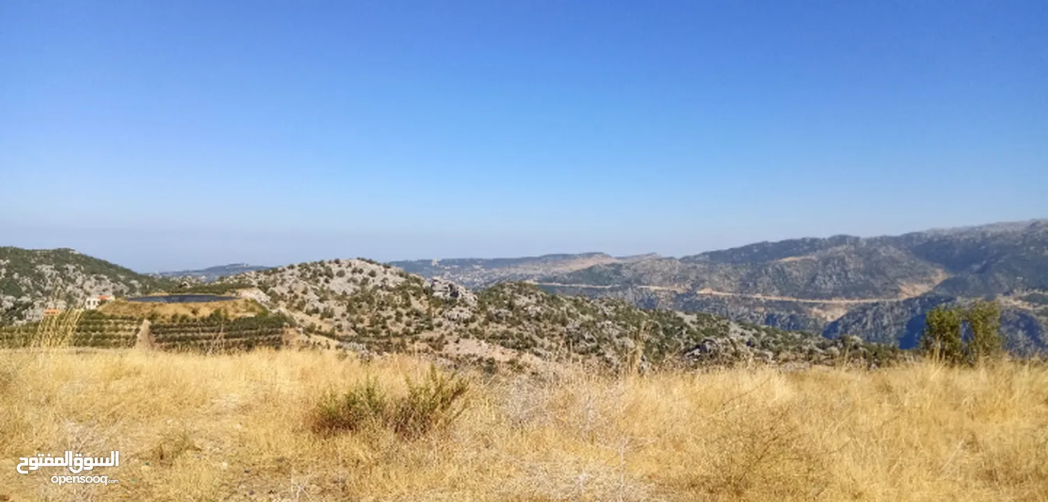 land in Amez for sale