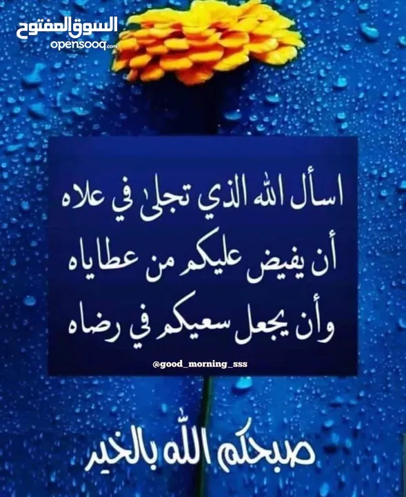 شقة للايجار