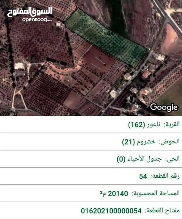 من الدلم لعشرين بدك واحد او كله مافي مشكله