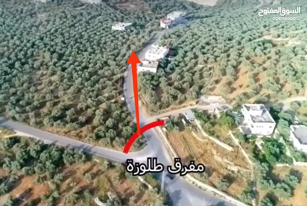 ارض للبيع فى عصيرة الشمالية، طابو نابلس، كوشان مستقل لخمسة اسخاص، كل شخص يضع سنسال على حصته
