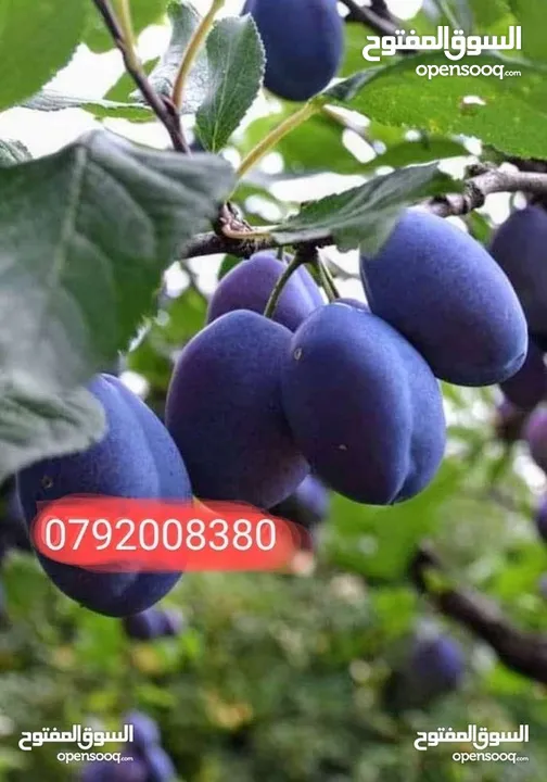 مزرعة لقطة مميزة مع بيت طابقين مطلة ومرتفعة