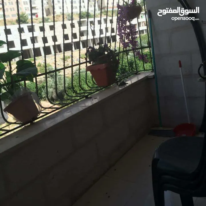 شقة مفروشة للايجار بالطيرة لعرسان