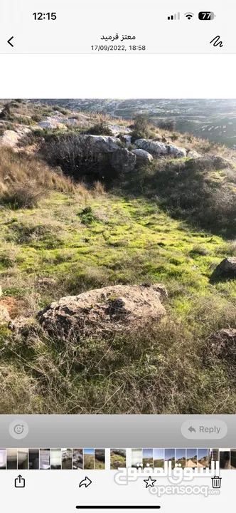 ارض زراعية للبيع فى اربد تصلح لبناء مزارعة مطلة على جبال جميلة وجذابة جدا