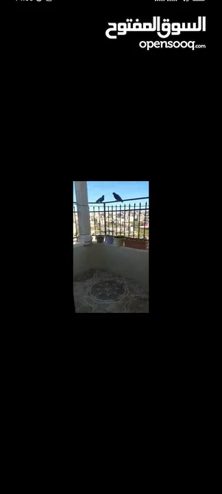 شقة غرفتين نوم وصالة وصالون