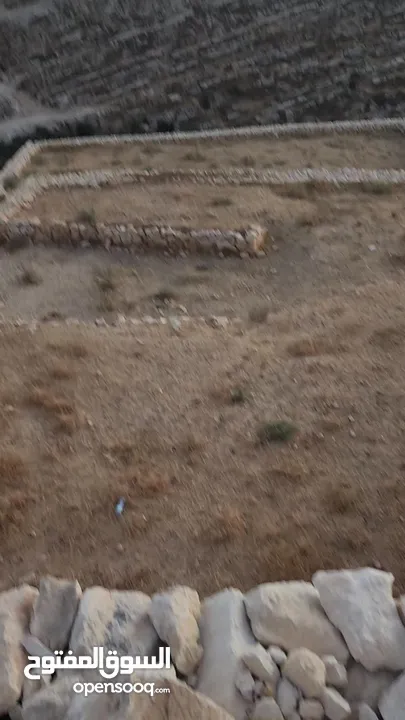 ارض للبيع حلحول بقار القصر الصيني