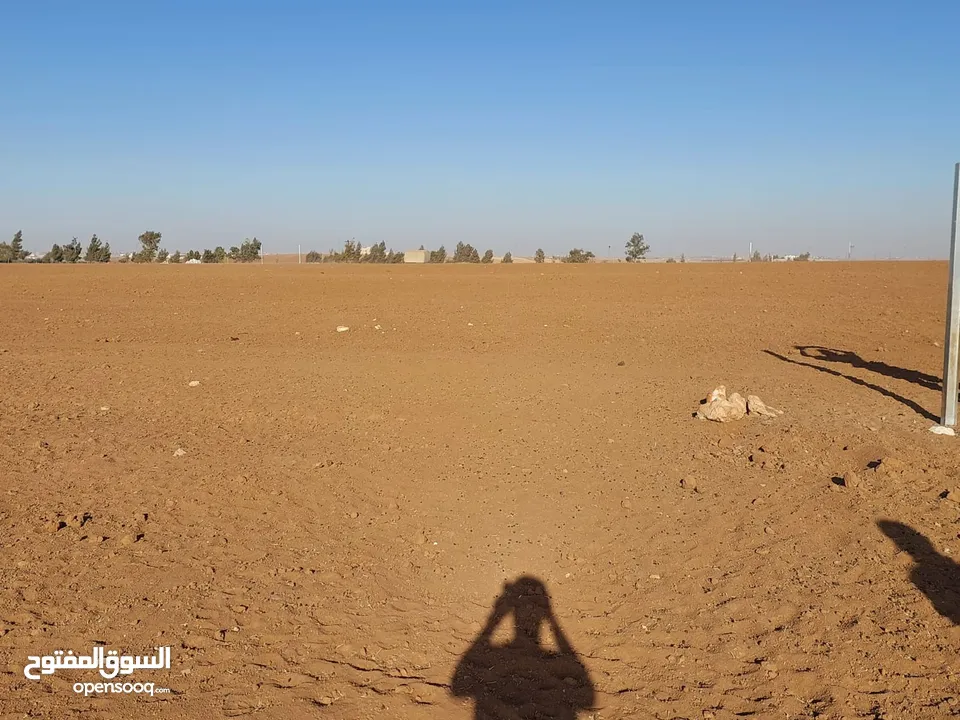 مادبا ماعين مشرفه المرعاوي  قطعة ارض زراعية مميزة  ذات اطلالة على البحر الميت واصل الخدمات 4150 متر
