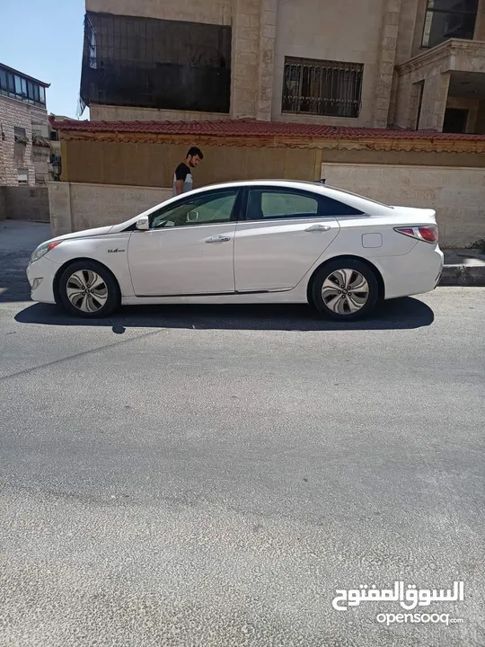 فورد موستينج كشف للأعراس والمناسبات والايام