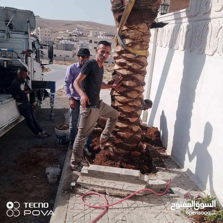 شجرنا انتاجنا