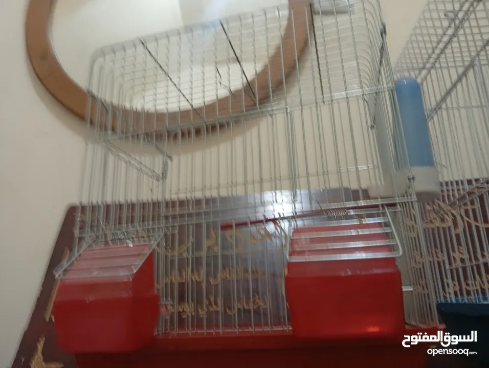 قفصين واحد جديد و تاني مستعمل