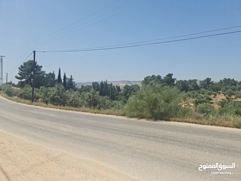 ارض للبيع في اجمل مناطق عمان [بدر الجديده] 650م حوض الكاشف