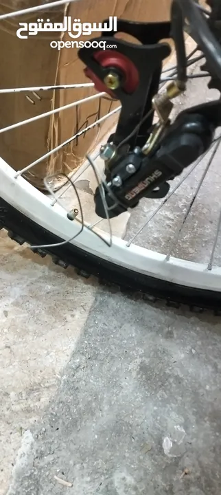 Galant bicycle
