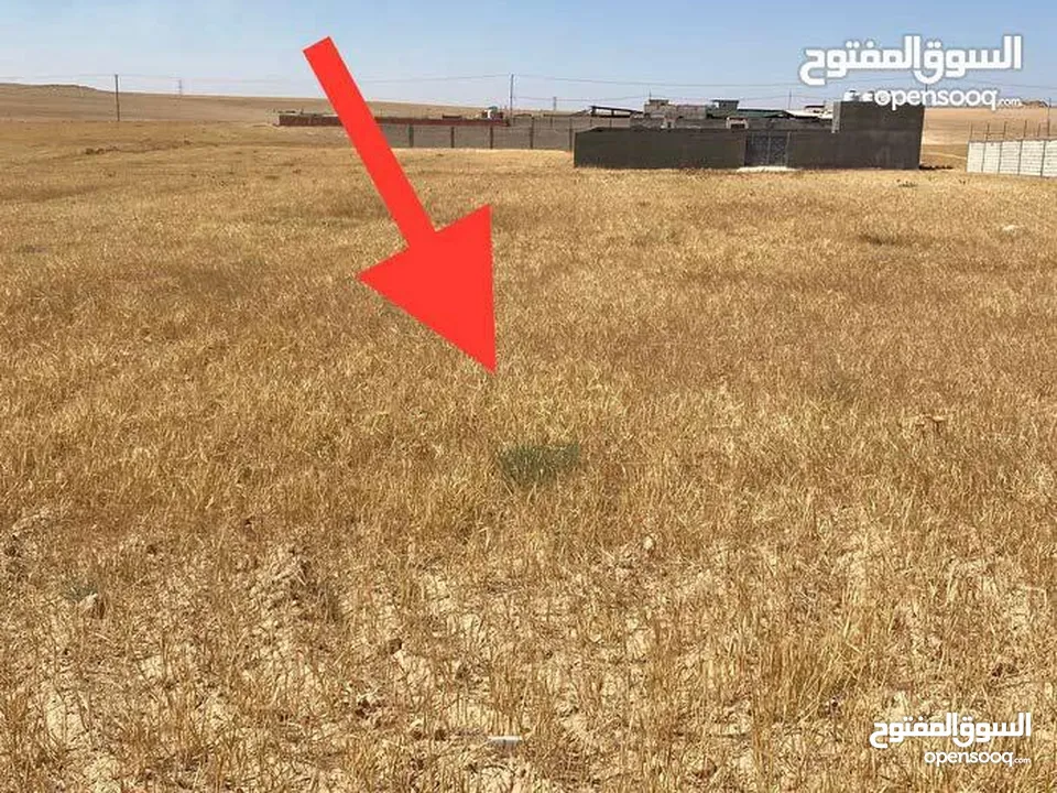 ارض للبيع بسعر مغري
