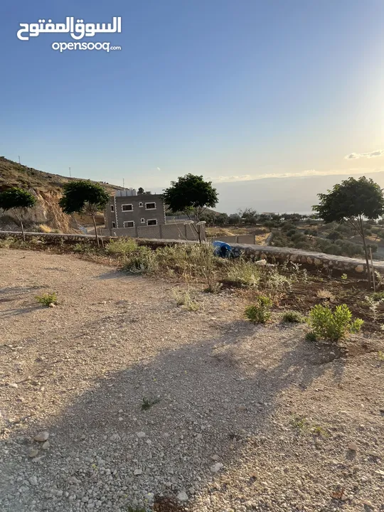 مزرعة في مغاريب السلط من المالك مباشرة