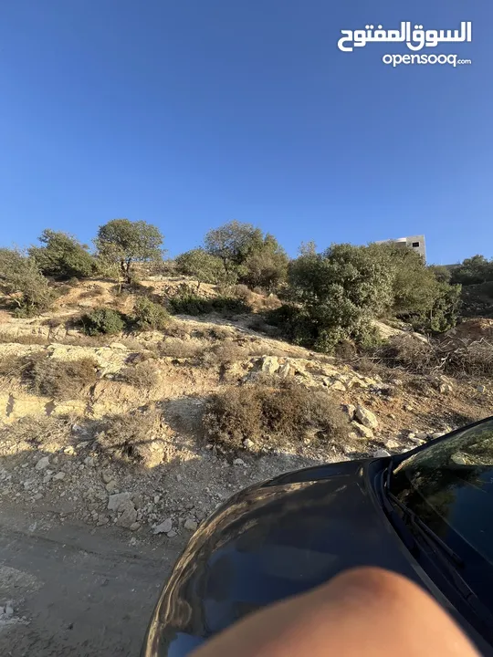 ارض واد الزرزير مطله وهادئه