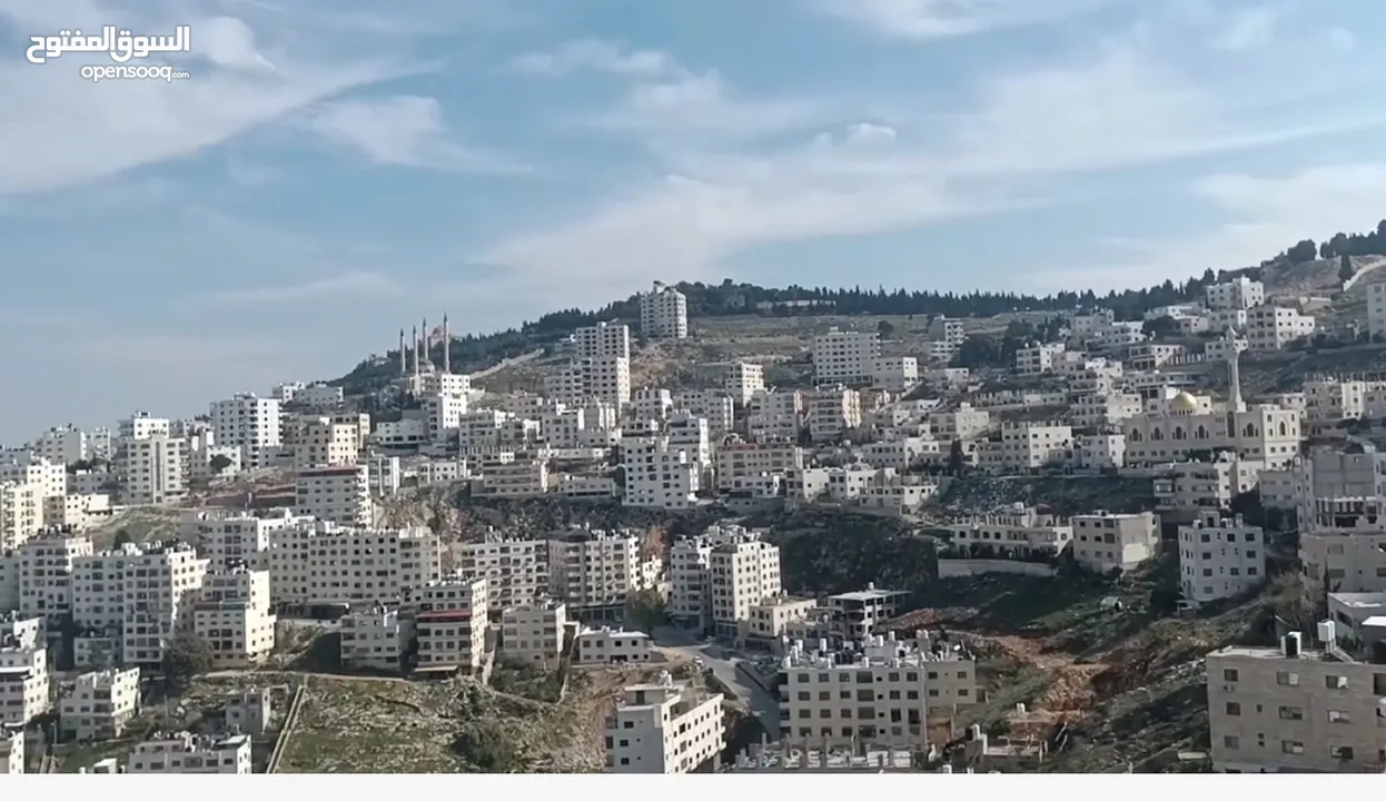 حسام كلبونه