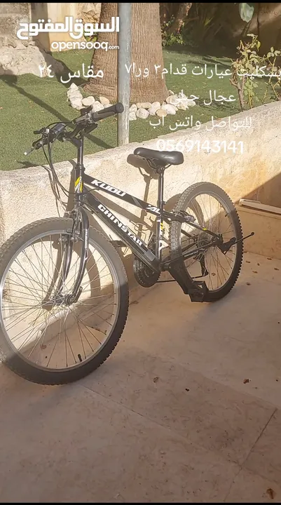 بسكليت chinstar جبلي عيارات مقاس 24.