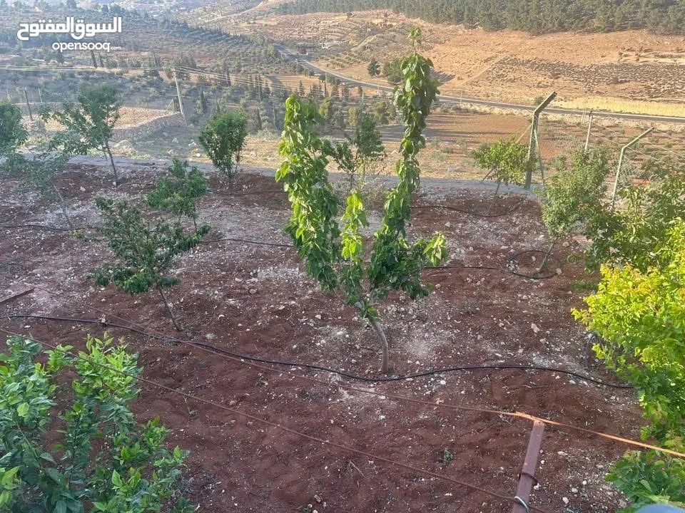 للبيع بيت ريفي تشطيب سوبر ديلوكس منطقة دحل (المدور) شرق جرش
