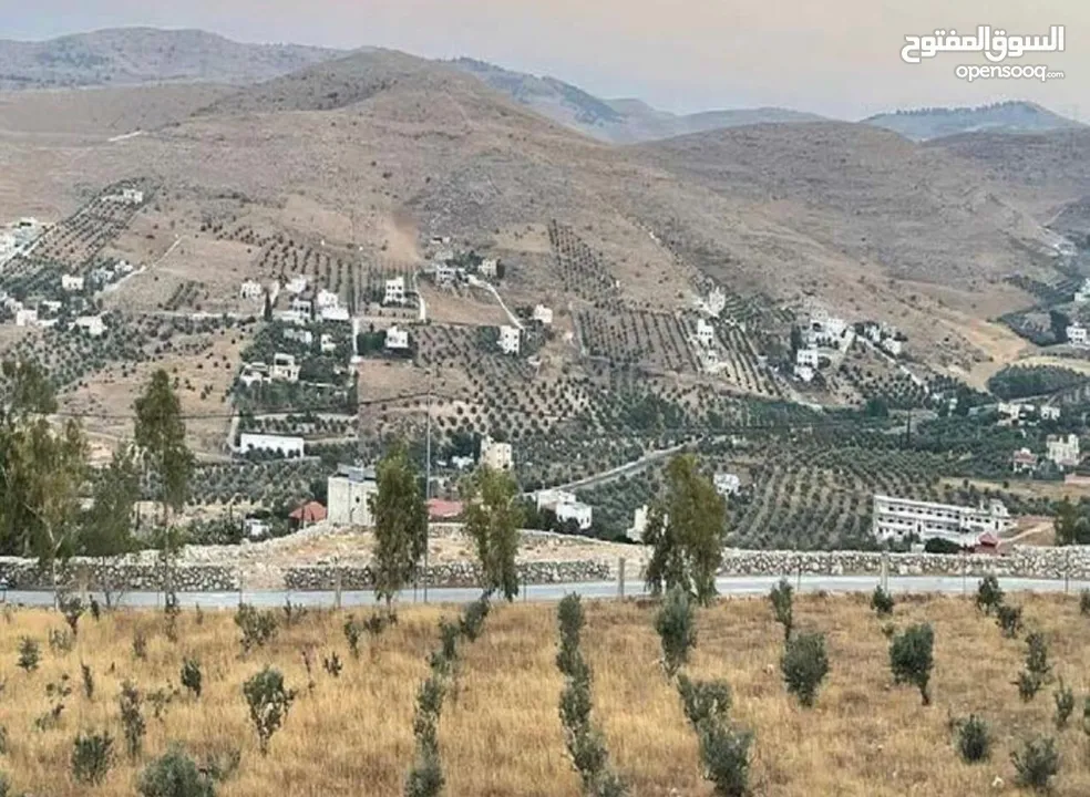 ارض 3400م2 للبيع في صروت حوض المرح الأصفر إطلالة مميزة حولها مزارع