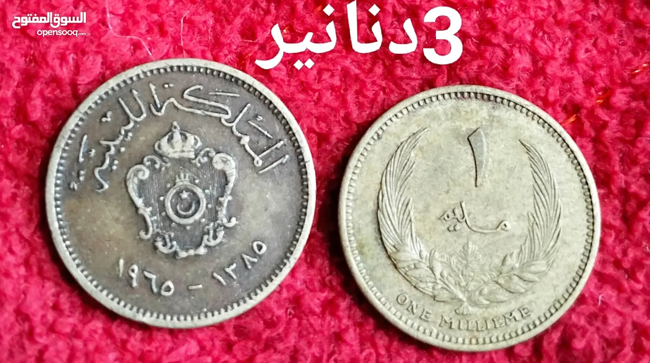 فلسات بسعر مغري للمهتمين السعر على الصور